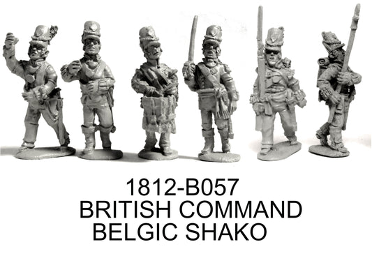 British Command in Belgic Shako