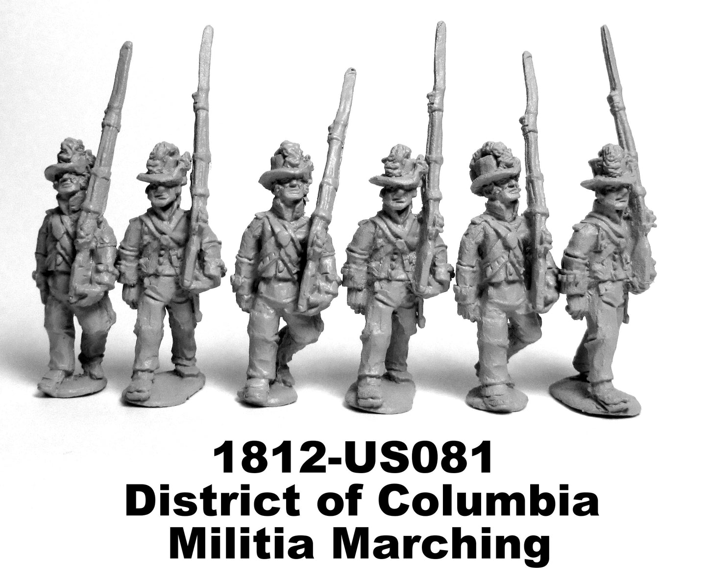US District of Columbia Militia Marching